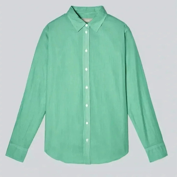 Everlane Classic Preppy Button Down Pinstripe top Size 6 Mint Green Cotton - Picture 8 of 10